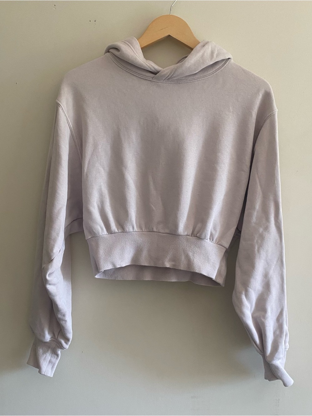 Aritzia Tna airy af fleece cropped hoodie